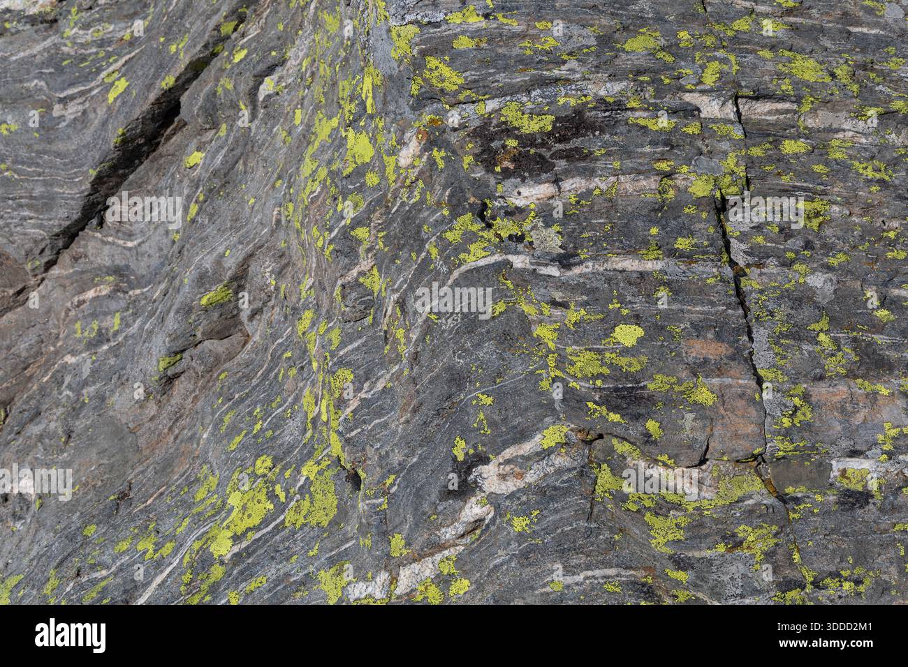 Natural stone background texture with detailed surface Stock Photo