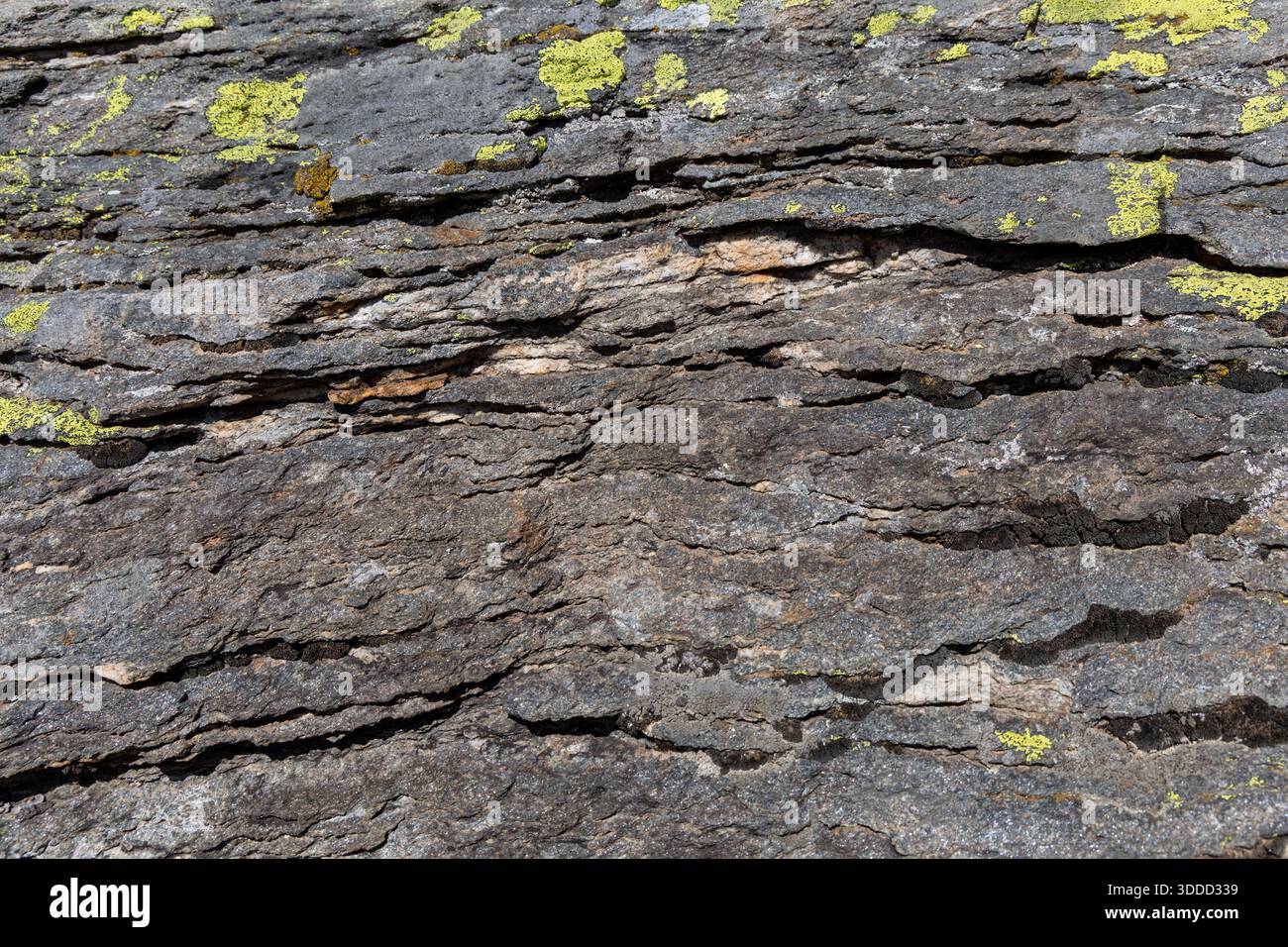 Natural stone background texture with detailed surface Stock Photo