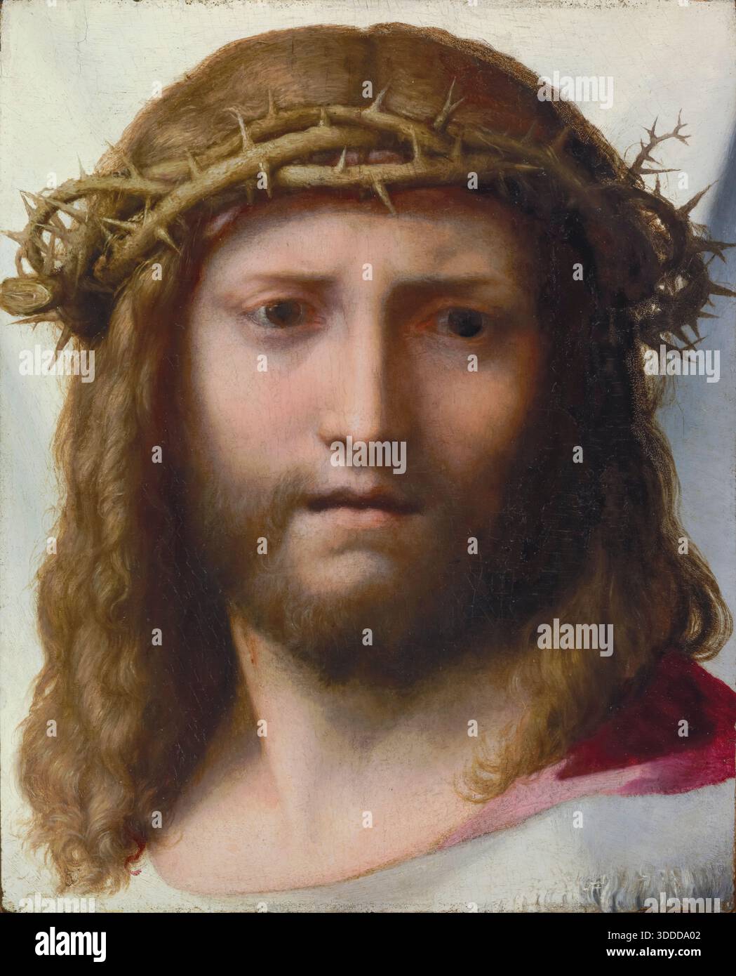 Correggio - Antonio Allegri, Head Portrait of Christ, about 1525-1530, oil on panel, Los Angeles, California, USA. Stock Photo