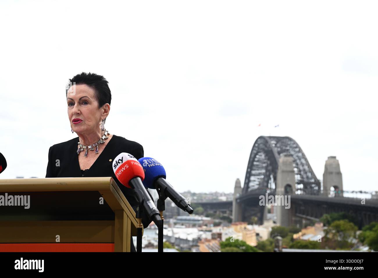 Sydney Lord Mayor Clover Moore addresses media during the City of ...