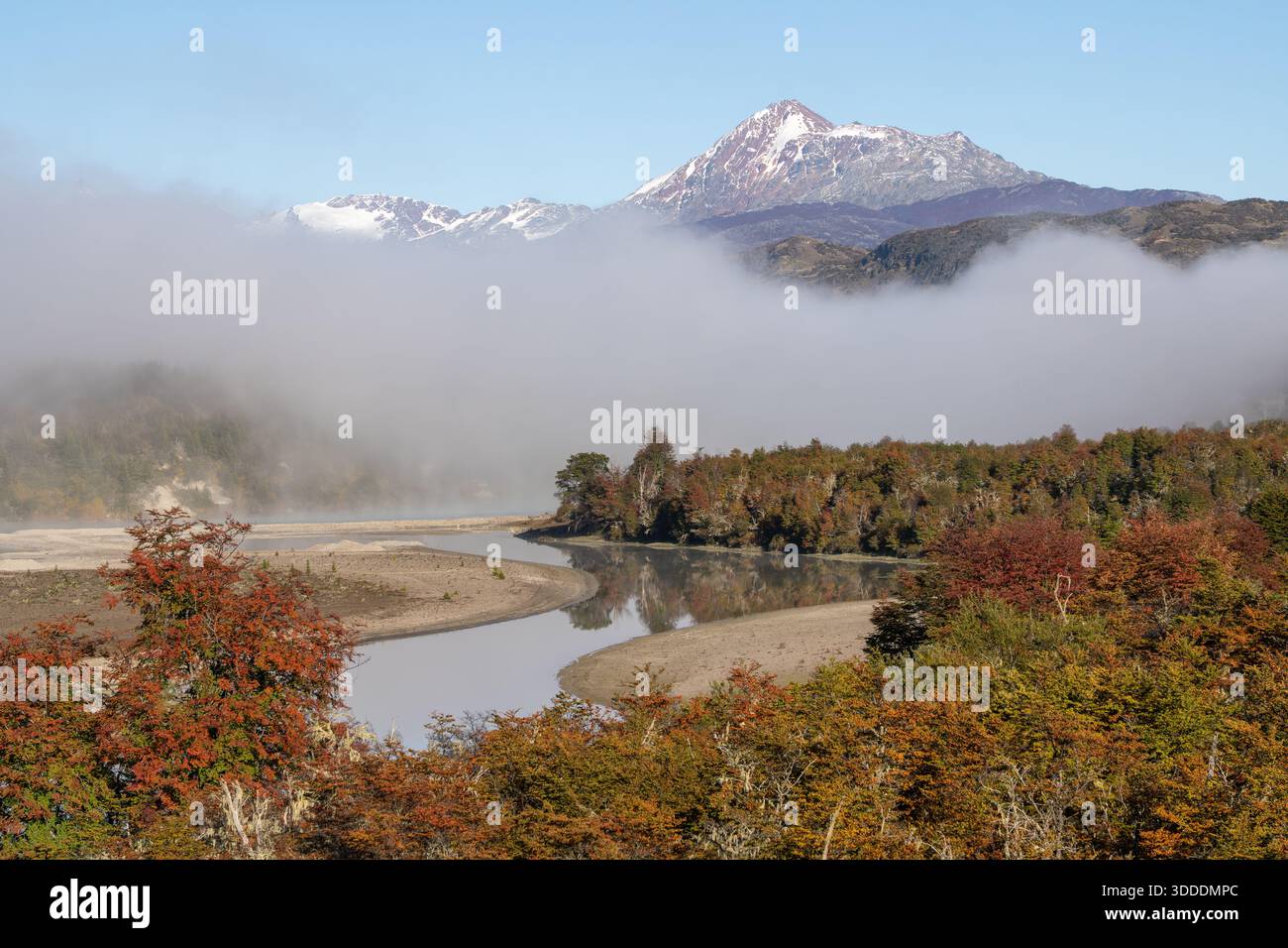 Serpentine River Valley Beautiful Glacier Snowy Rocks Mountains Conifer  Forest — Stock Photo © daniilphotos #270664210, image size:1300x956