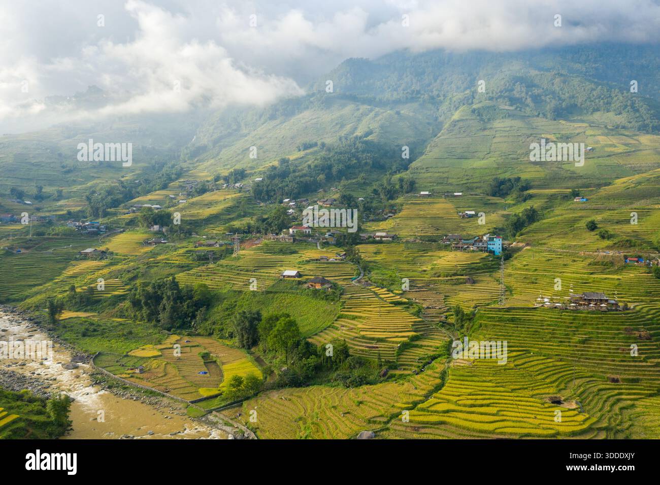 High low rice fields hi-res stock photography and images - Alamy