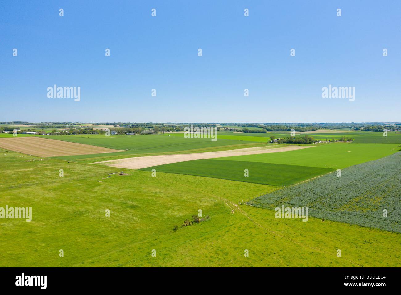 Aerial view of expansive green and brown farmland stretching across the ...