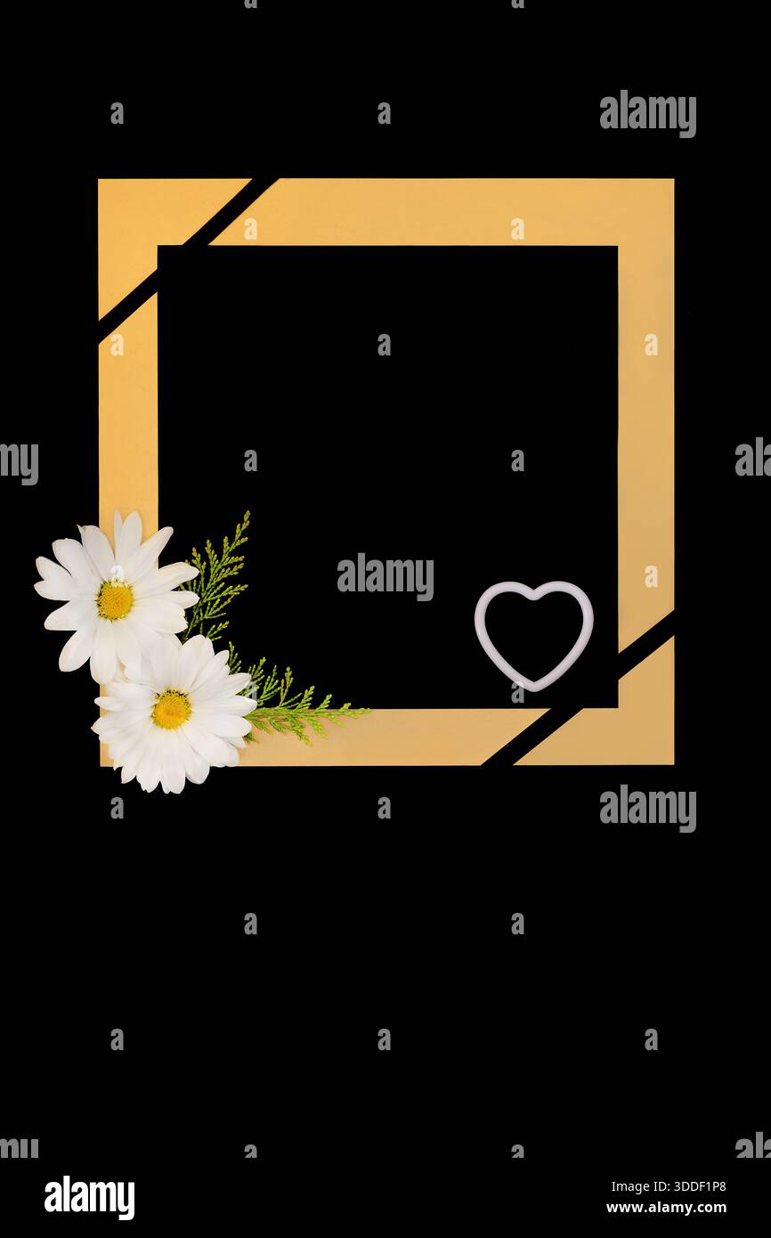 Daisy flower in loving memory background border on black with gold ...