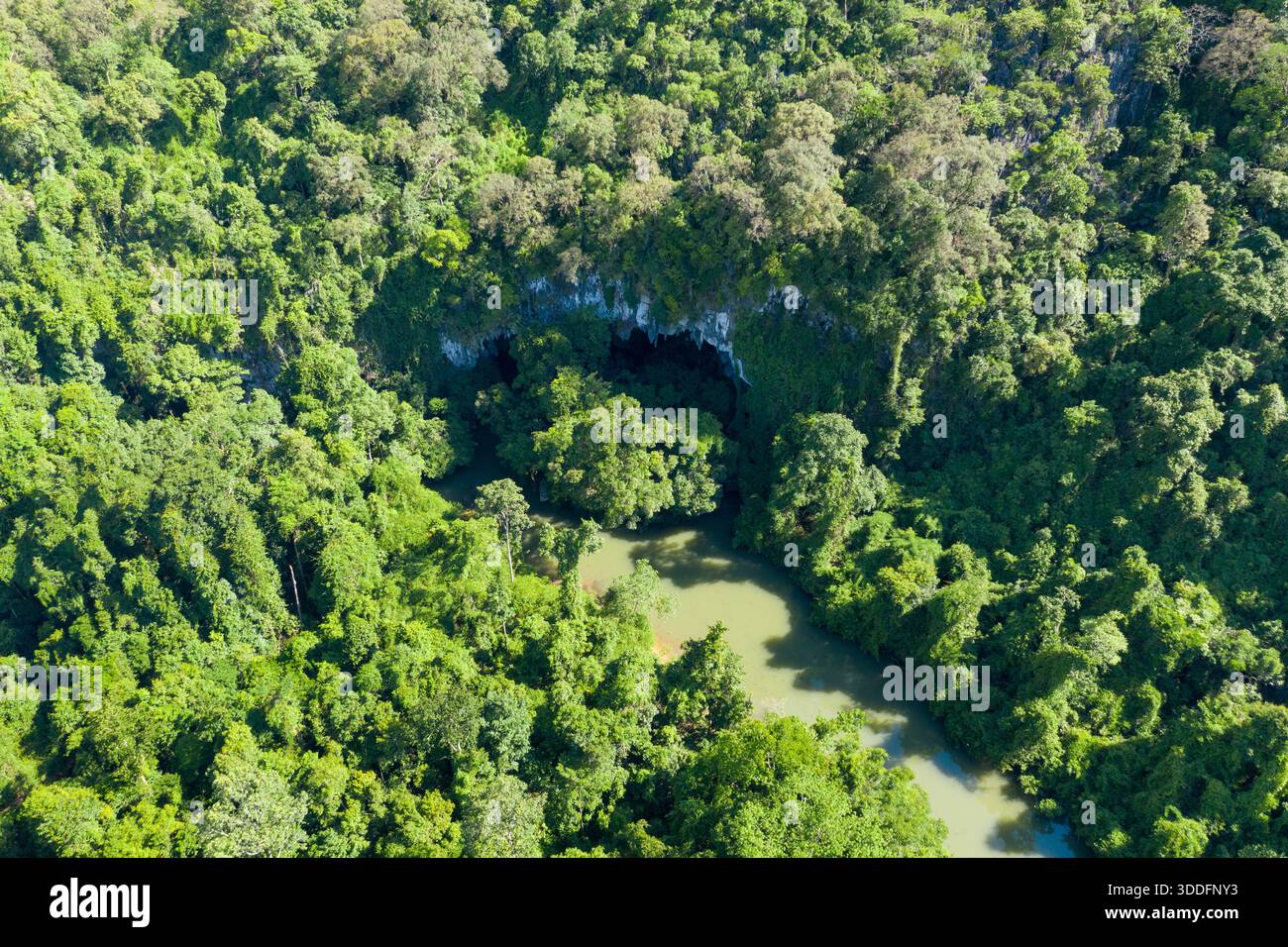Lush jungle surrounds winding hi-res stock photography and images - Alamy
