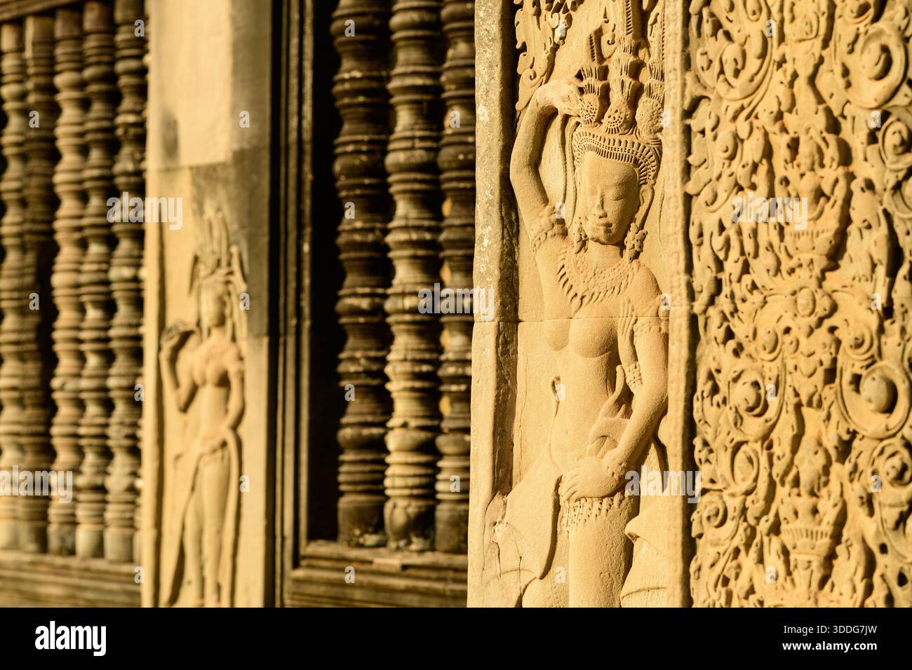 Warm sunlight illuminates detailed sandstone carvings of apsara dancers ...
