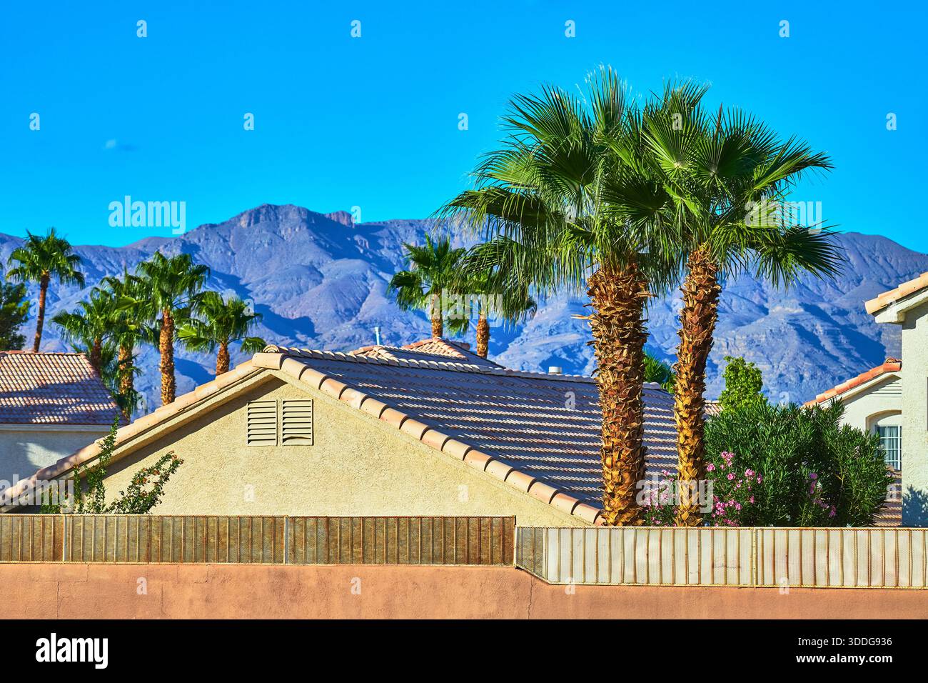 Sun sunshine palm tree hi-res stock photography and images - Alamy