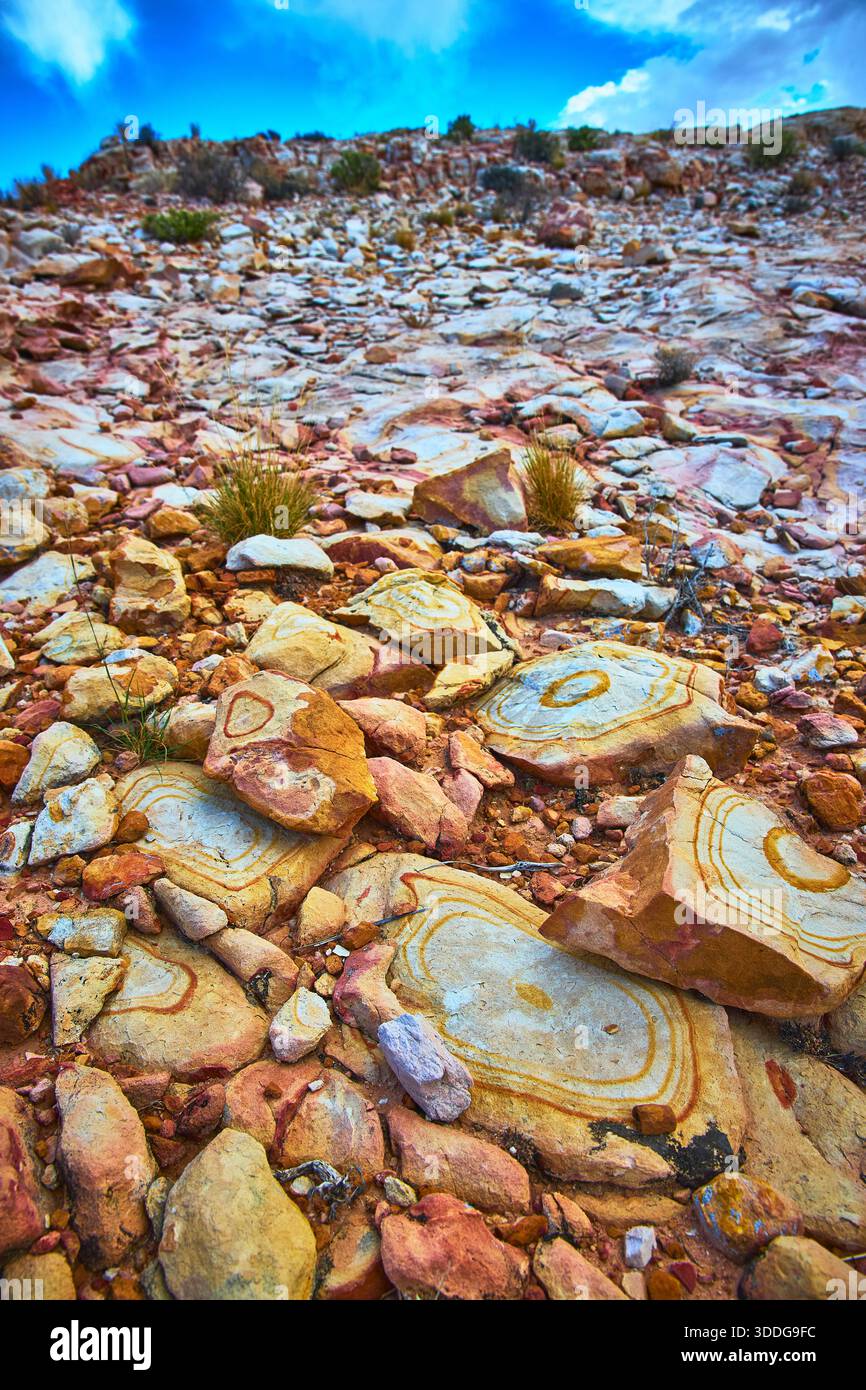 Artistic Sandstone Formations and Desert Grasses in Rugged Nevada Landscape Stock Photo
