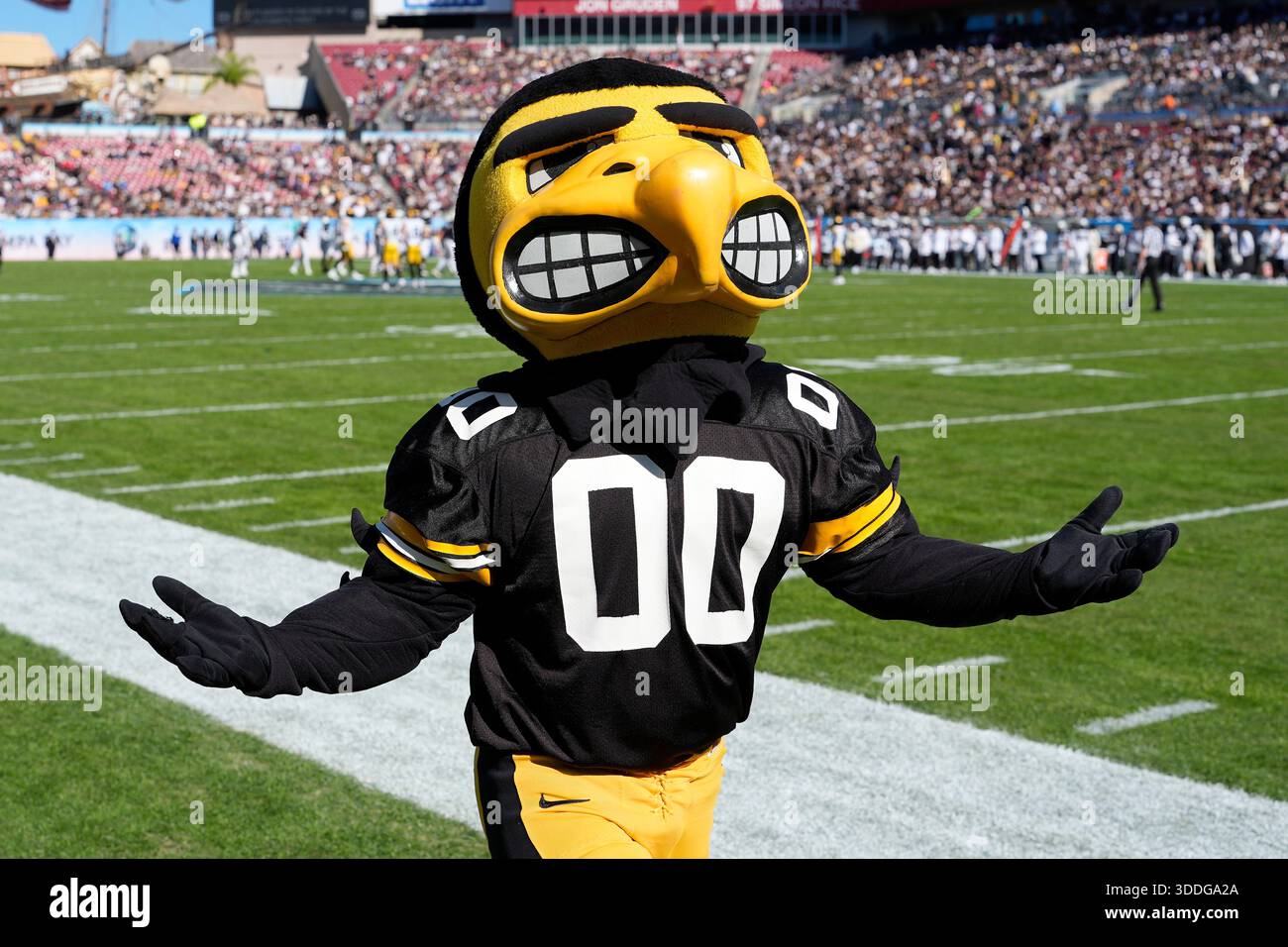 TAMPA, FL - DECEMBER 31: Iowa Hawkeyes mascot Herky the Hawk reacts ...