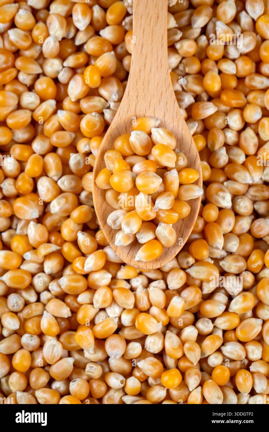 Dried corn kernels on a white background (raw legumes). Stock Photo