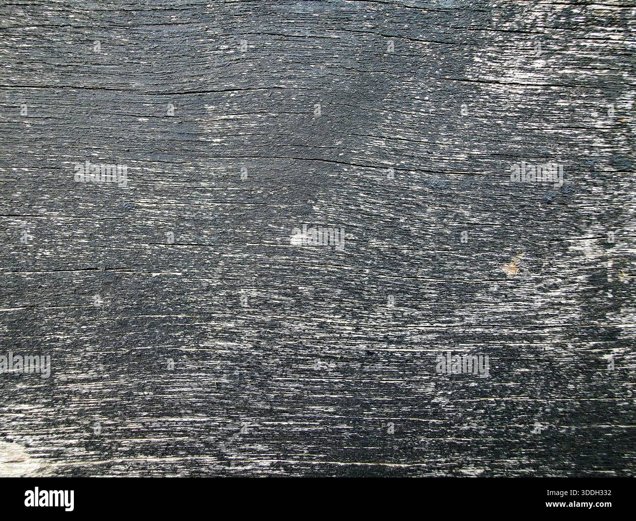 Distressed Gray Wood Grain Texture Background Stock Photo