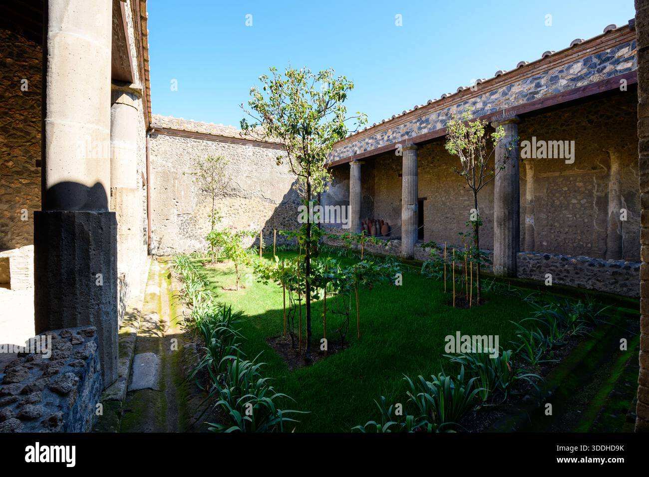Peristyle Rome A sunlit Roman peristyle garden with young trees, lush grass, and ...