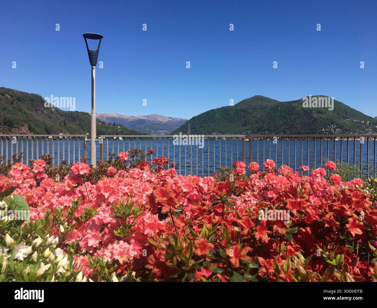 Milan, Italy Flowers and Gardens in various locations in Italy In the ...
