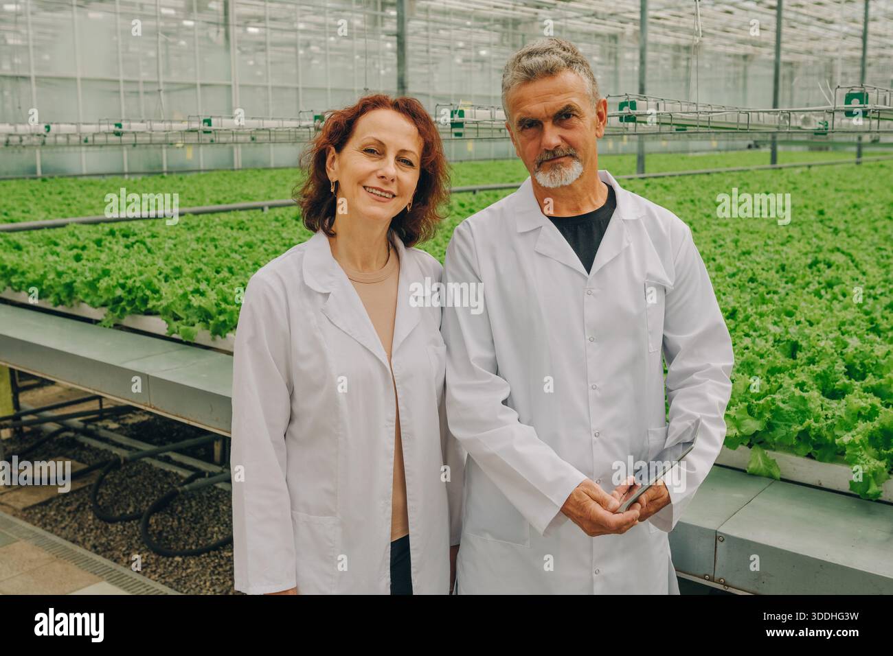 Science in action, Laboratory scene showcases controlled environment for research experiments, Industrial greenhouse setting highlights meticulous Stock Photo