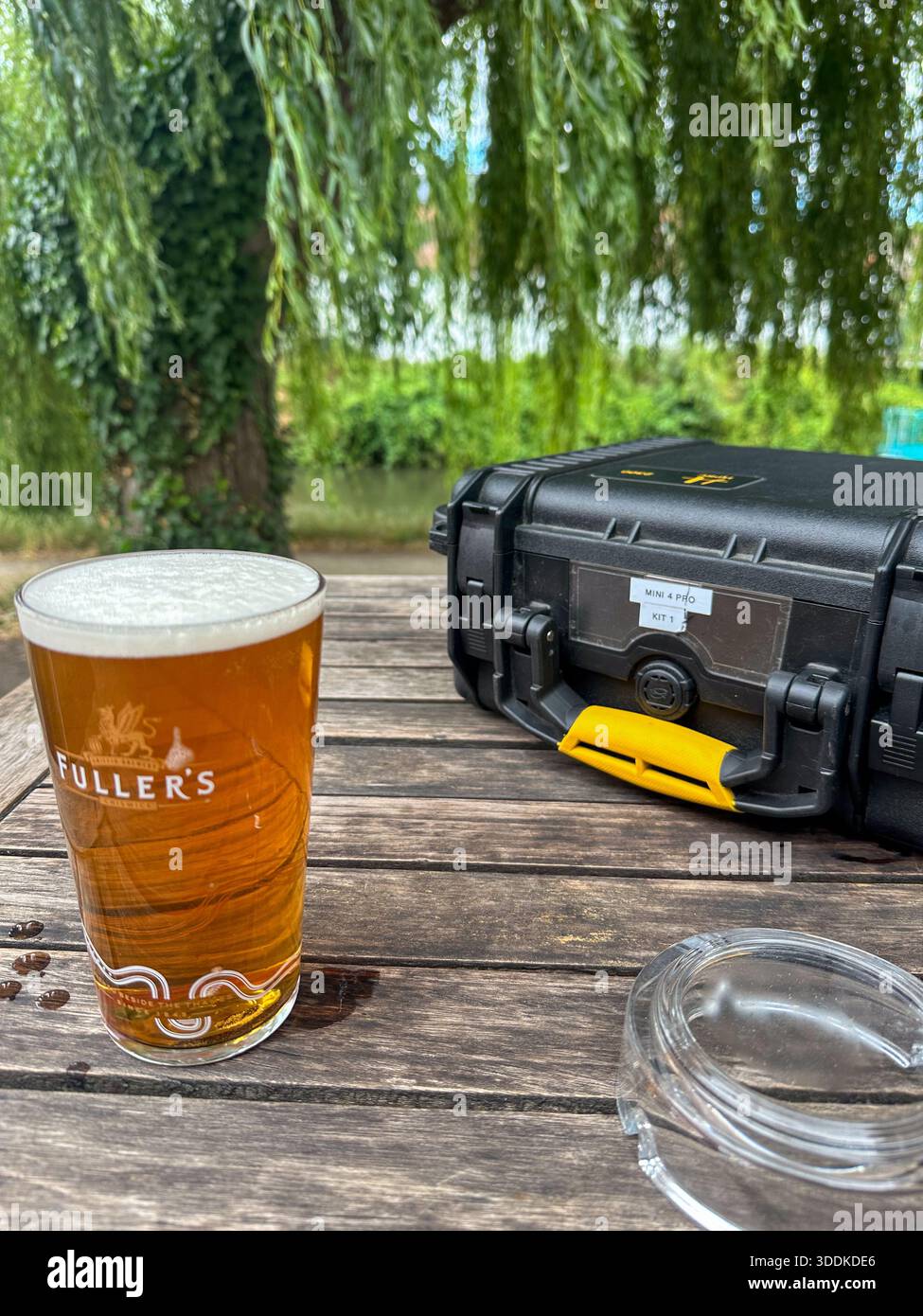 Thatchers Gold cider served outdoors with Pelican case beside willow tree, United Kingdom - Smartphone Captured Stock Image