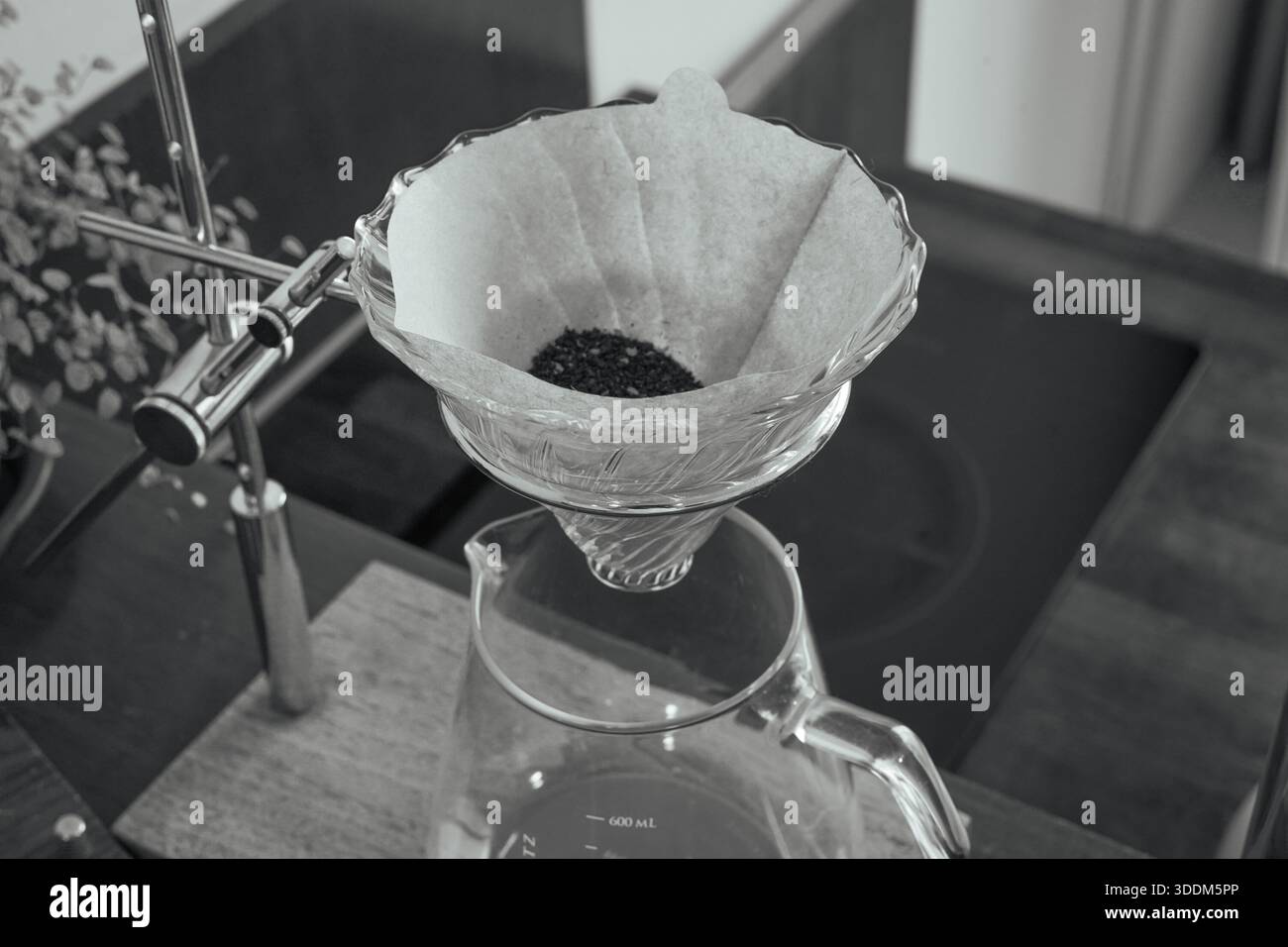 Coffee Grounds in Filter Ready for Brewing (B&W) Stock Photo