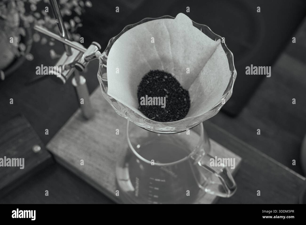 Coffee Grounds in Filter Ready for Brewing (B&W) Stock Photo