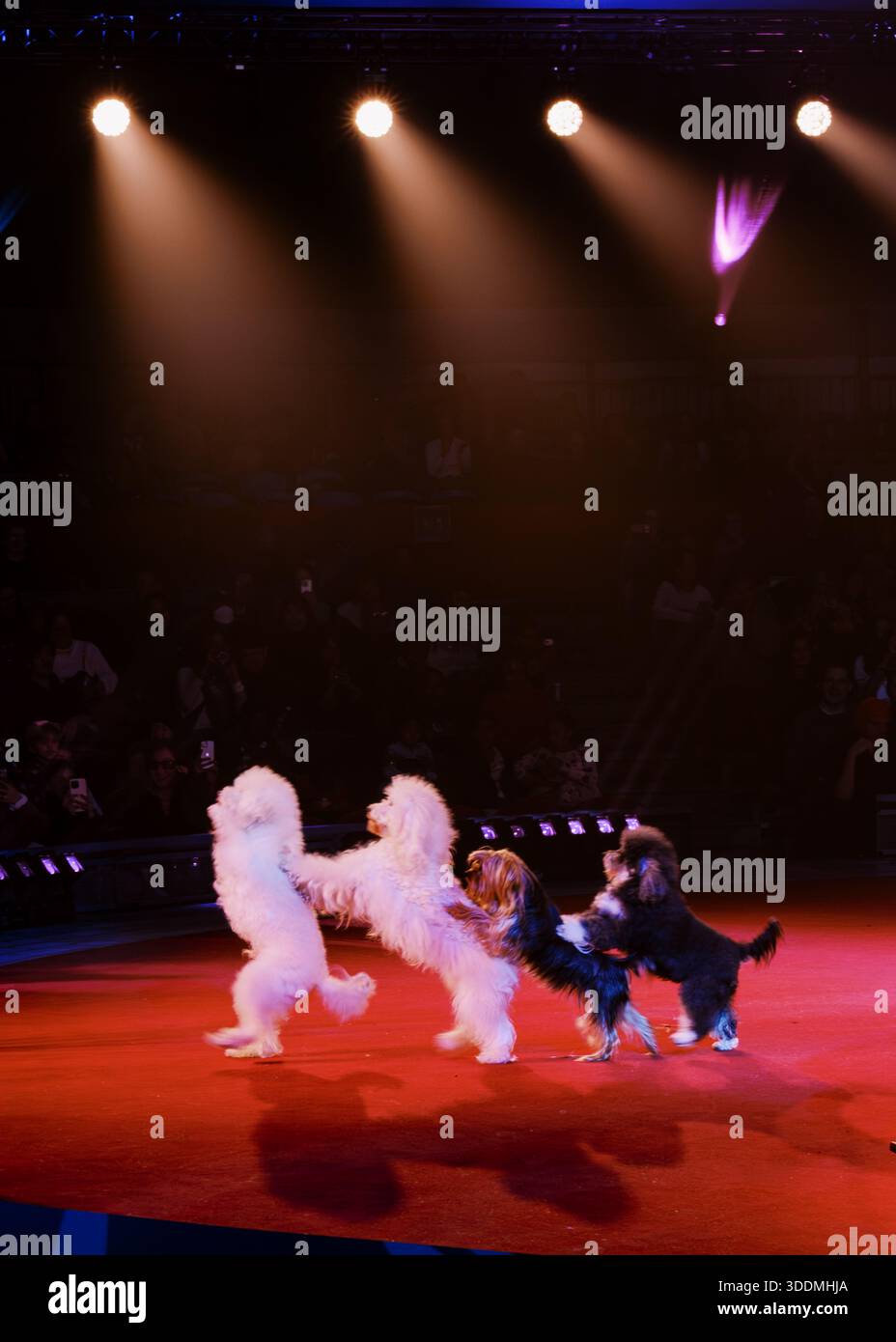 Act audience hi-res stock photography and images - Alamy