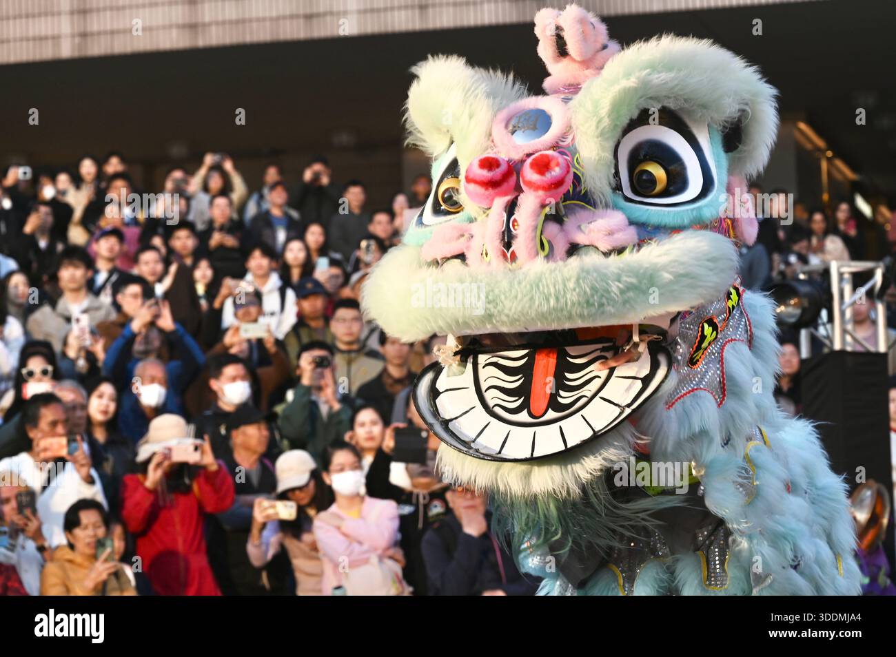 Chinese Traditional Lion Dance Competition At Dragon And Lion Dance chinese-traditional-lion-dance-competition-at-dragon-and-lion-dance