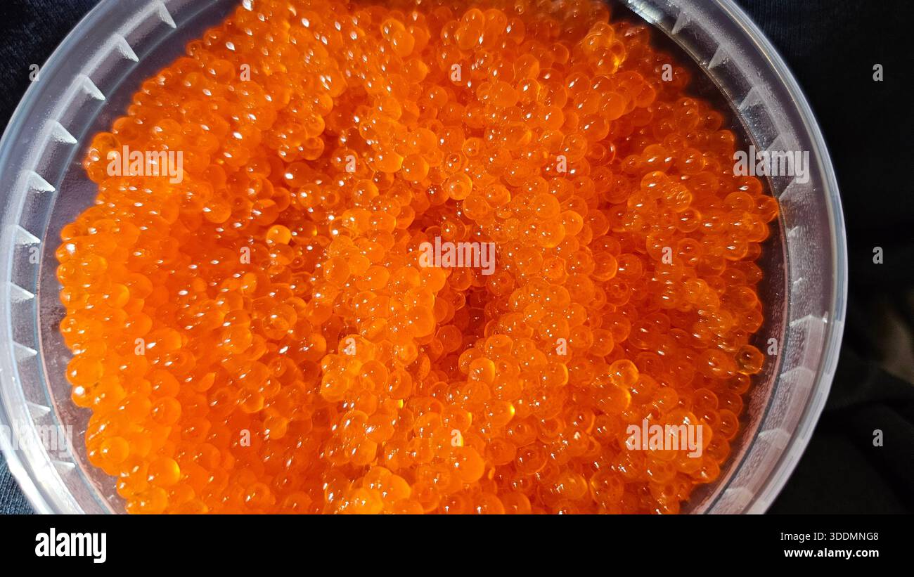Red Caviar Salmon Roe Macro Background - Smartphone Captured Stock Image