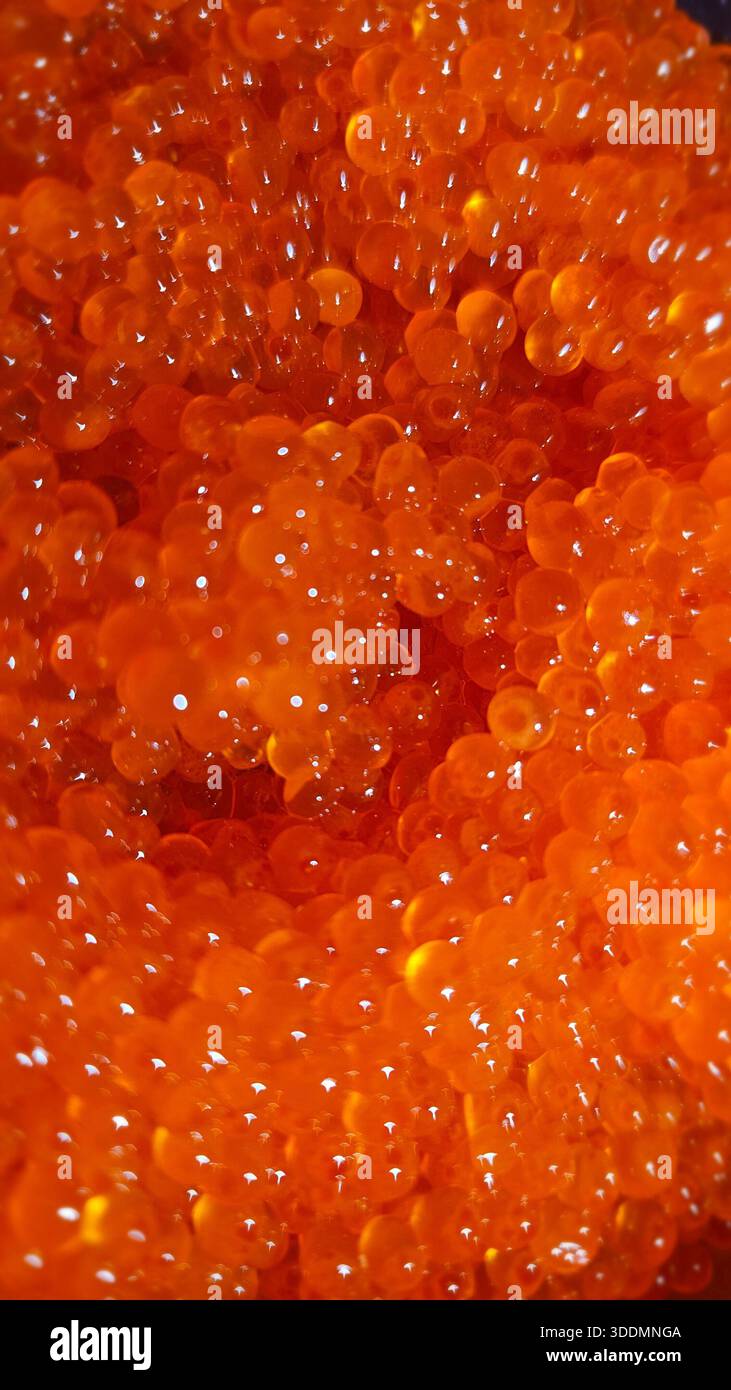 Red Caviar Salmon Roe Macro Background - Smartphone Captured Stock Image