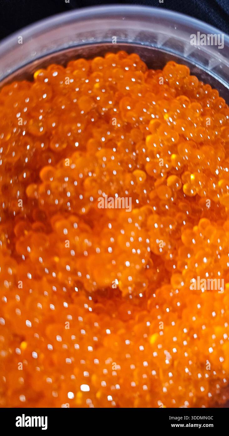 Red Caviar Salmon Roe Macro Background - Smartphone Captured Stock Image