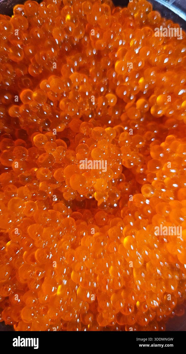 Red Caviar Salmon Roe Macro Background - Smartphone Captured Stock Image