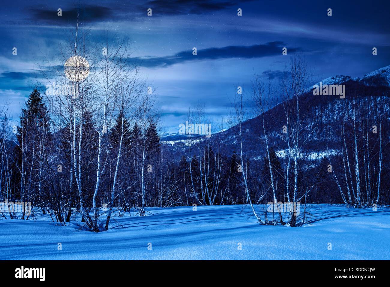 winter landscape at night. deciduous forest on snow covered hill in full moon light. beautiful scenery of park under blue sky for travel background. b Stock Photo