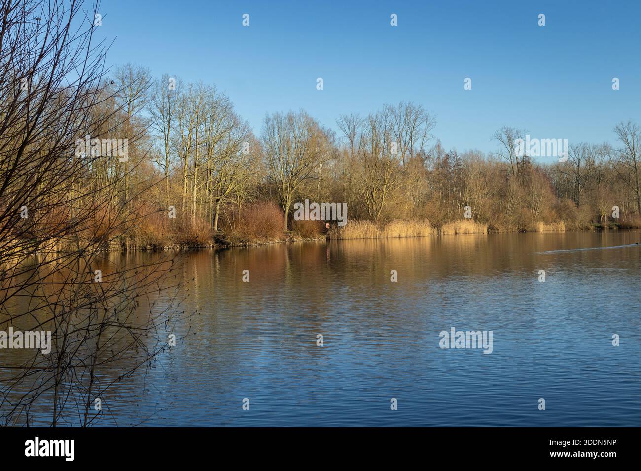 View of the manmade Gaverplas (Gaver Lake) in the Gavers Recreational Domain, near Geraardsbergen in East Flanders, Belgium. The lake is part of a pop - Stock Image