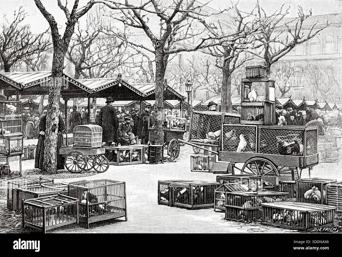 Paris market 19th century hi-res stock photography and images - Alamy