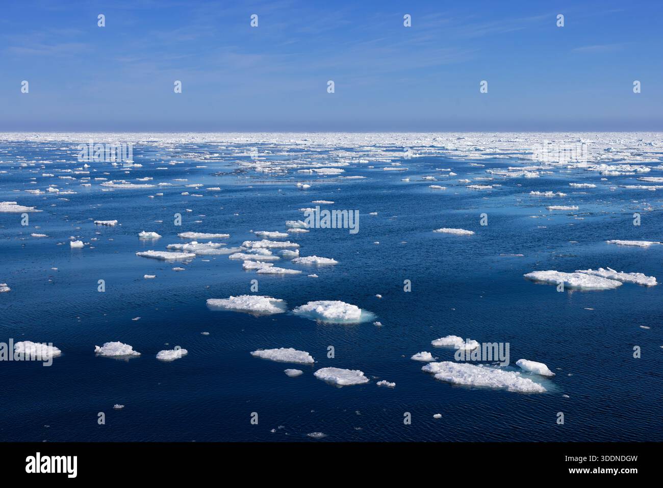 Drift ice / brash ice consists of ice floes in the Arctic Ocean around Svalbard / Spitsbergen in summer Stock Photo