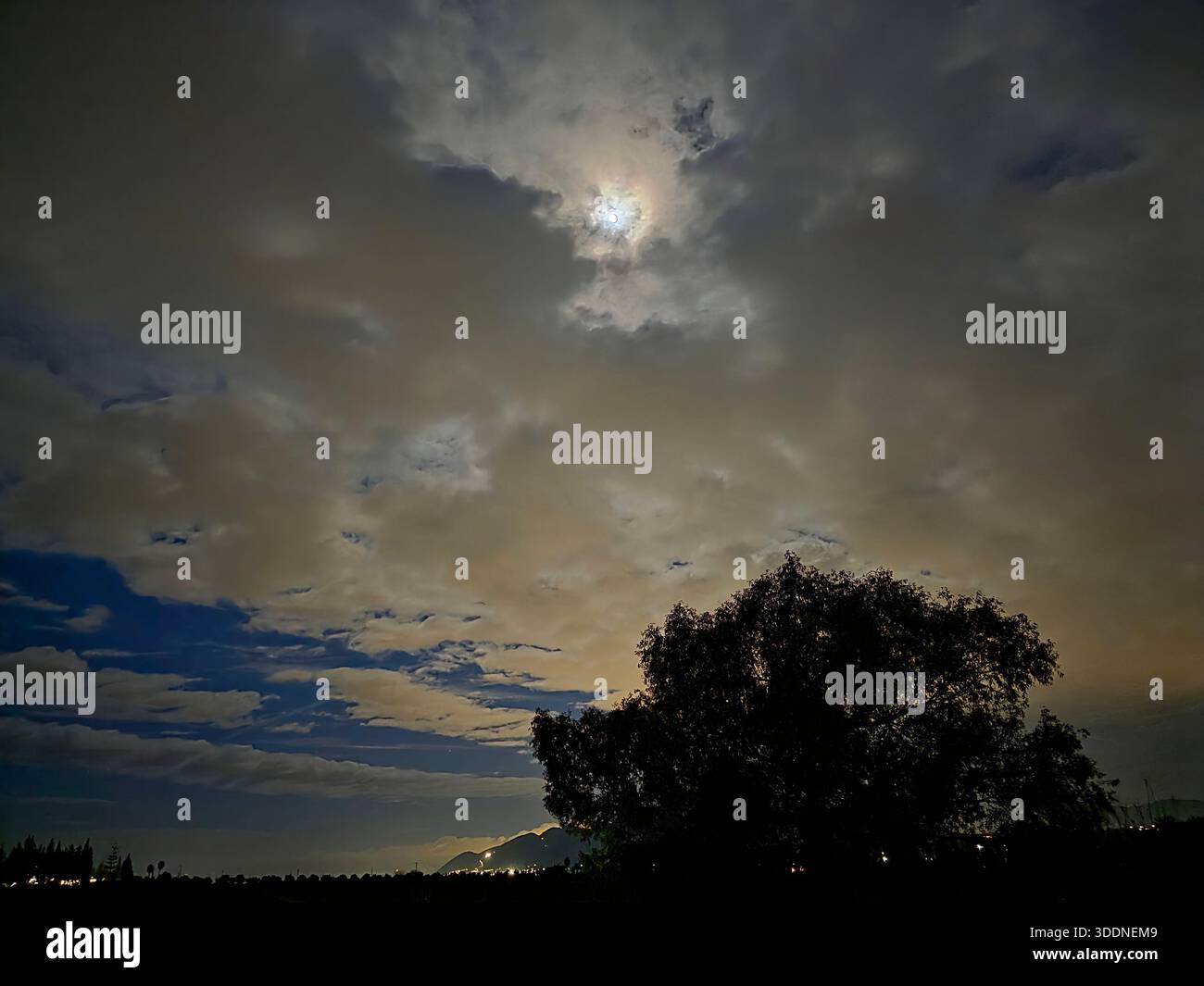 Cielo en Nochevieja 2025 - Smartphone Captured Stock Image