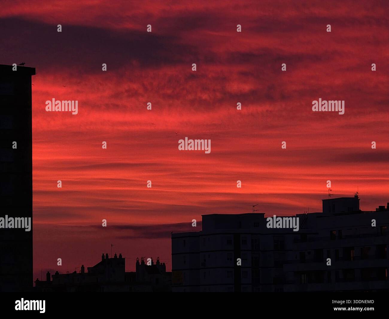 Amanecer en la ciudad - Smartphone Captured Stock Image