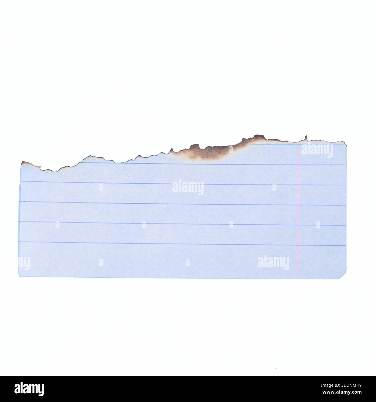 Light blue lined notebook paper with softly torn edge, isolated ...