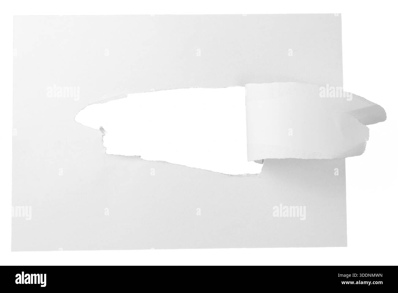 Layered white paper torn strip isolated on white, clean ripped texture ...