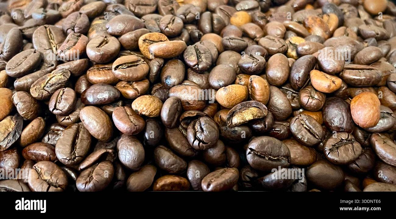 Close-up of roasted Coffee Beans with rich brown tones and natural texture, full frame background - Smartphone Captured Stock Image