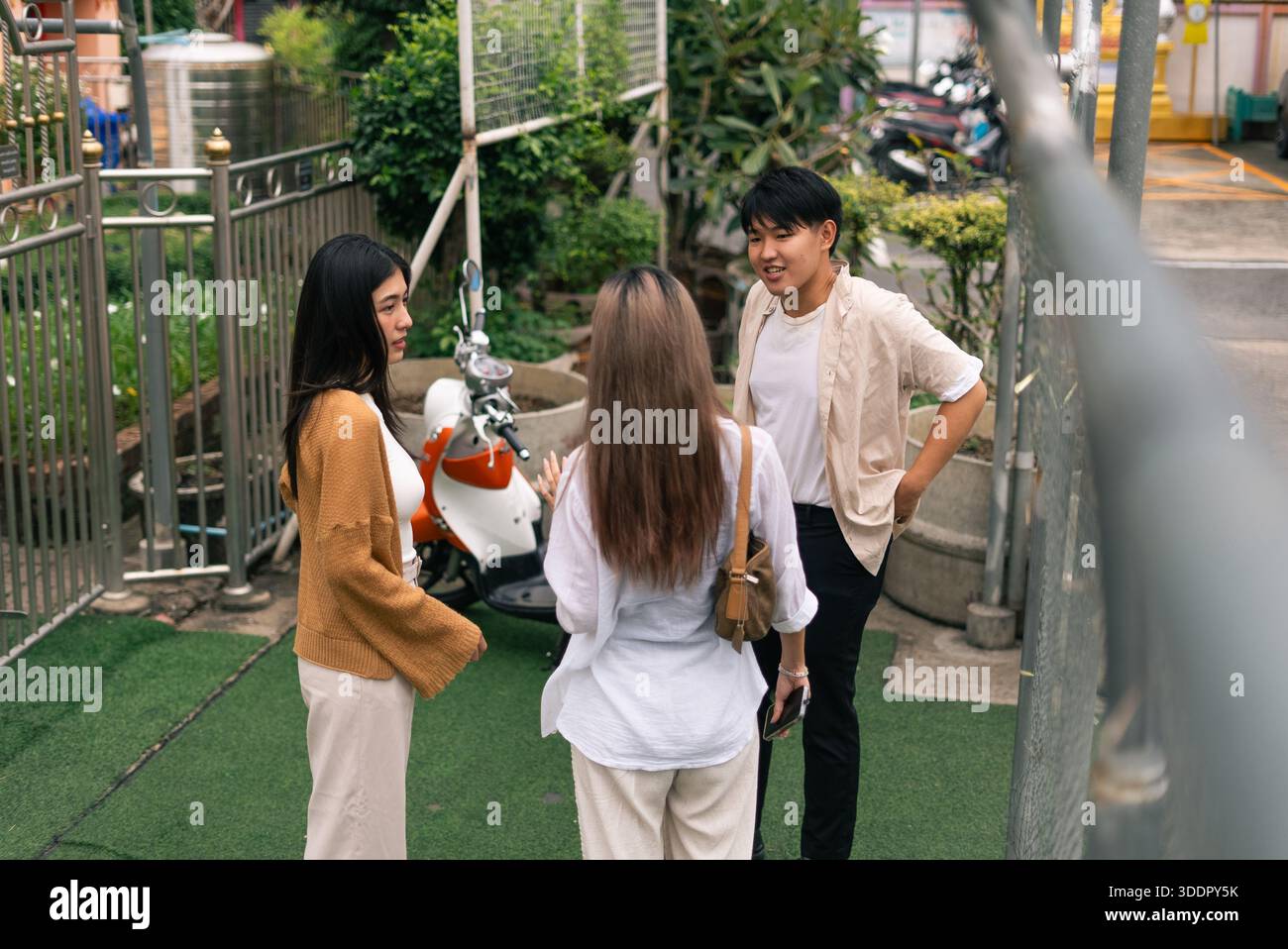 Diverse group of young asian adults discussing outdoors, sharing ideas and building connections Stock Photo