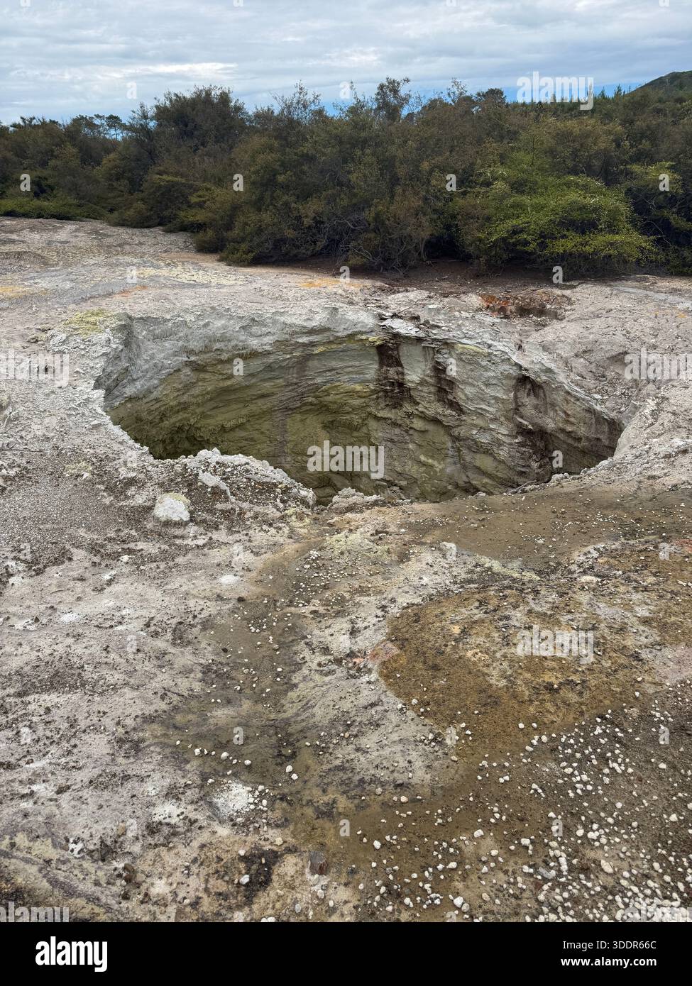 Waiotapu Scenic Reserve, near Rotorua, New Zealand. Mahanga Rua, a ...