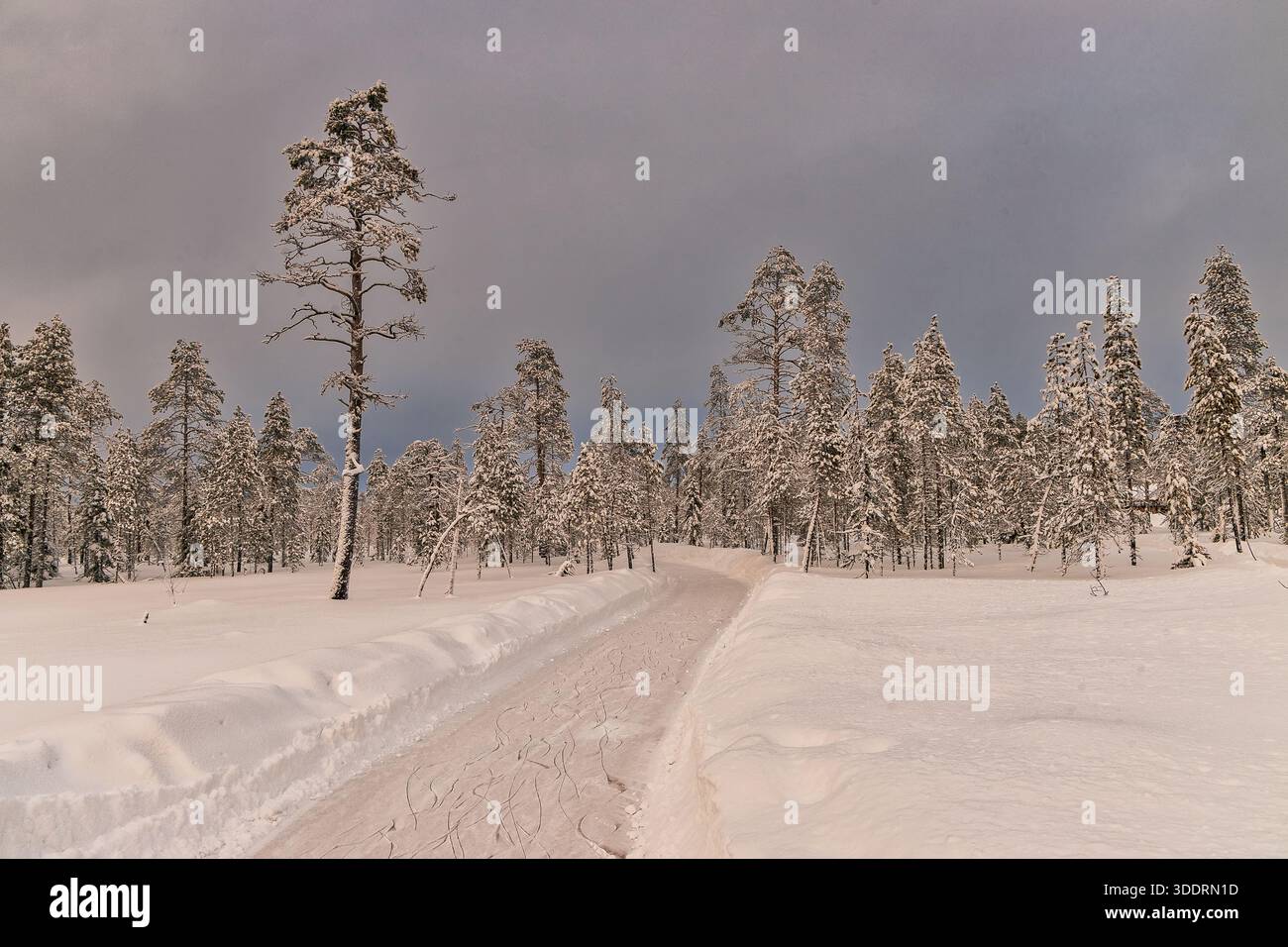Beautiful day in winter hi-res stock photography and images - Alamy