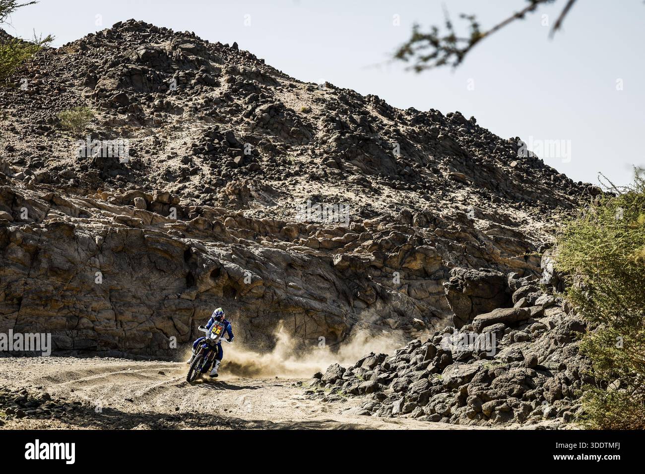 07 COX Bradley (rsa), Sherco Rally Factory, Sherco, Rally GP, action ...