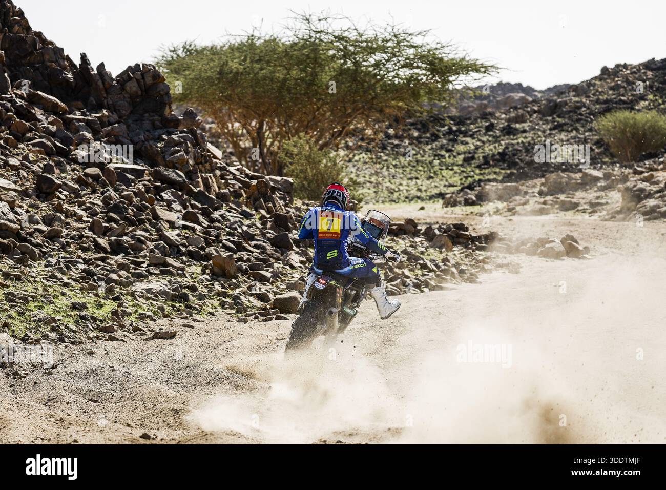 07 COX Bradley (rsa), Sherco Rally Factory, Sherco, Rally GP, action ...