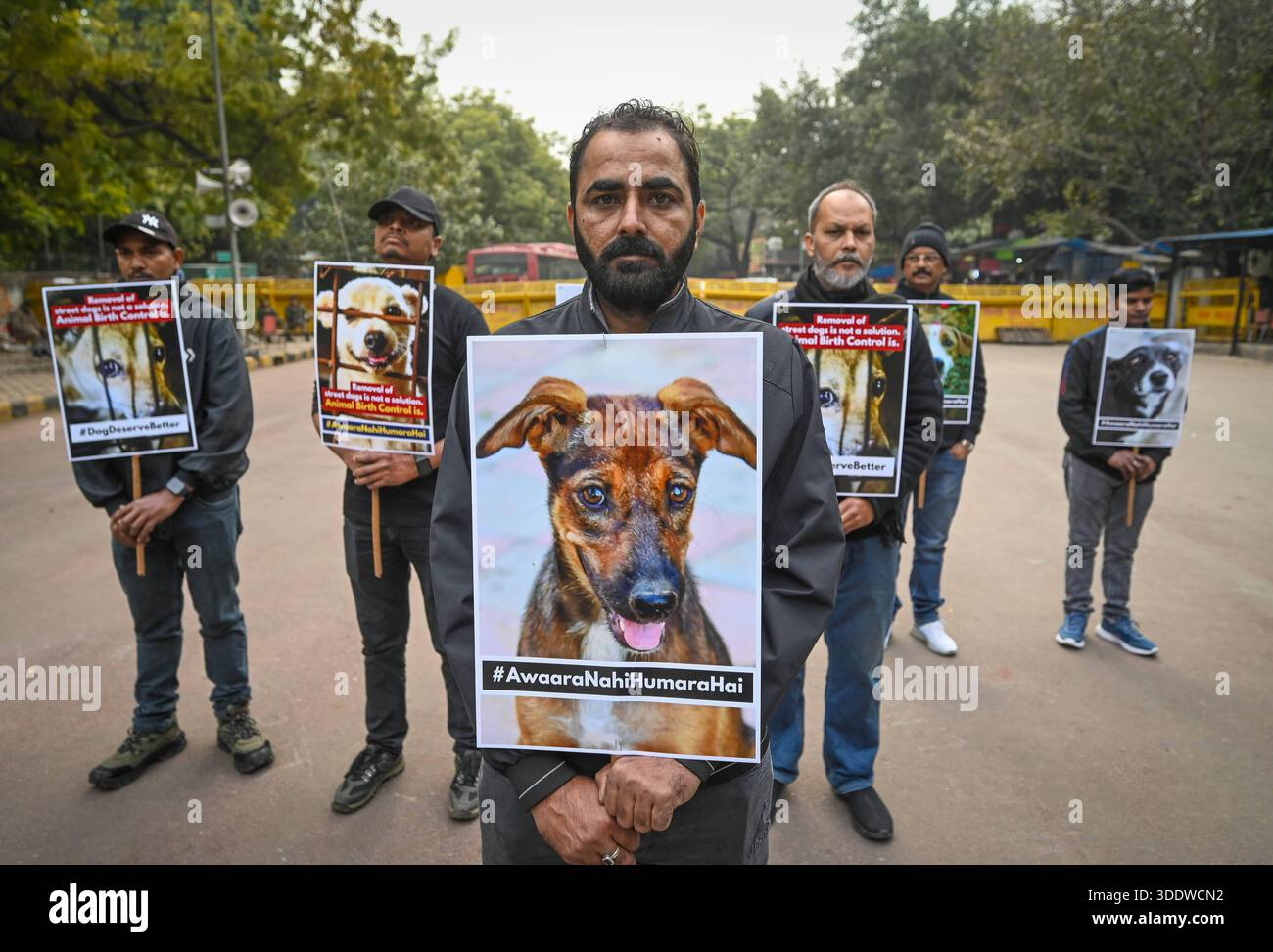 Protesting Dogs NEW DELHI, INDIA - JANUARY 3: Animal rights activists hold placards as ...