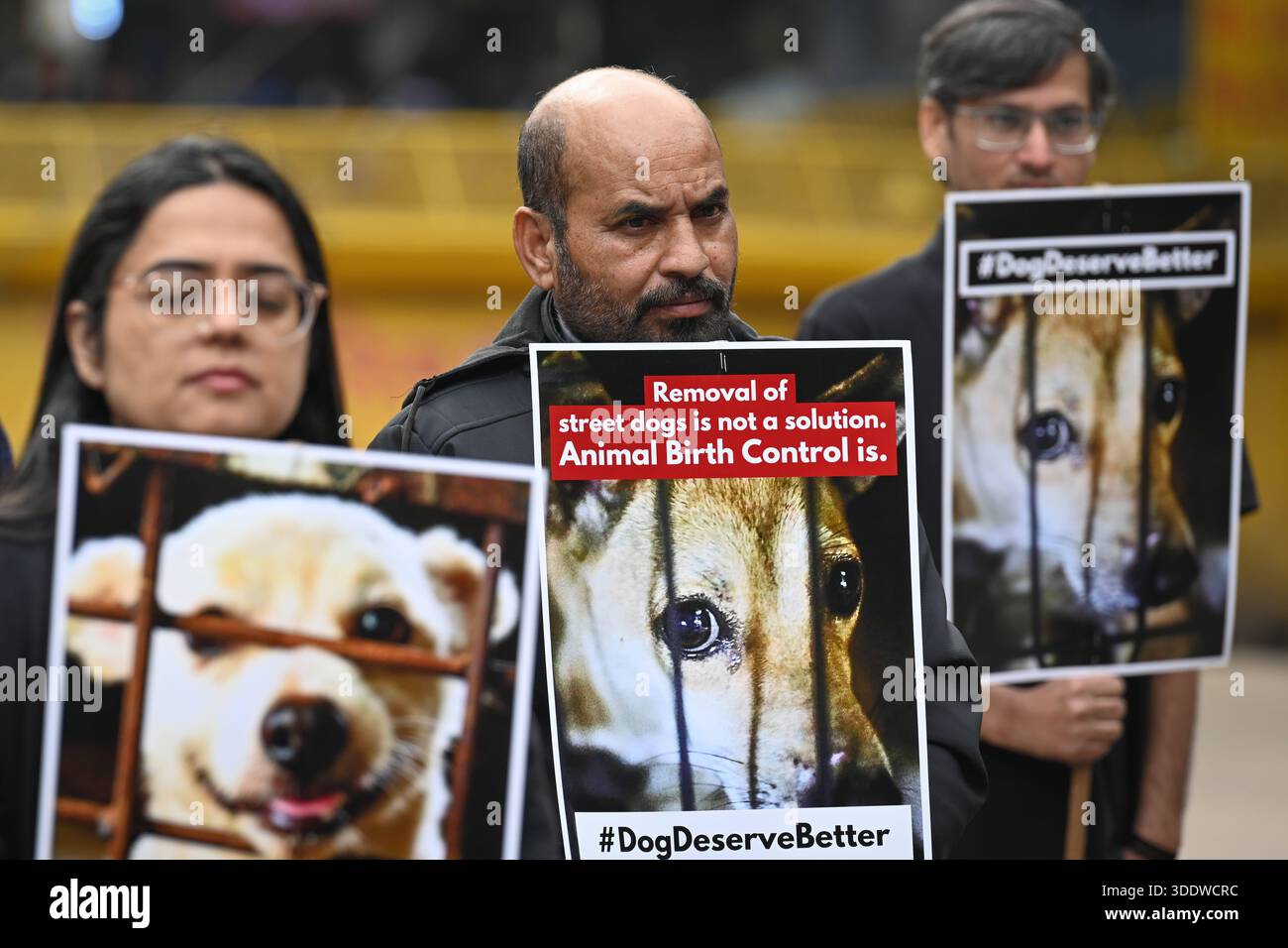 Protesting Dogs NEW DELHI, INDIA - JANUARY 3: Animal rights activists hold placards as ...