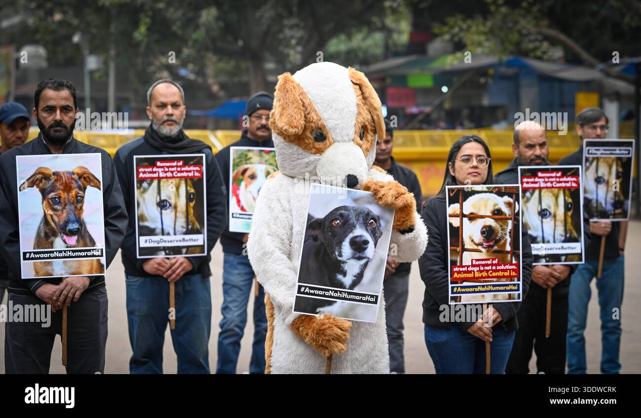 Protesting Dogs NEW DELHI, INDIA - JANUARY 3: Animal rights activists hold placards as ...