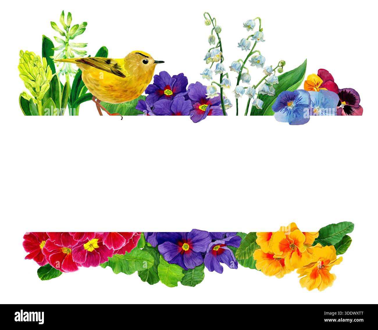 Horizontal frame with watercolor spring flowers primrose, hyacinth ...
