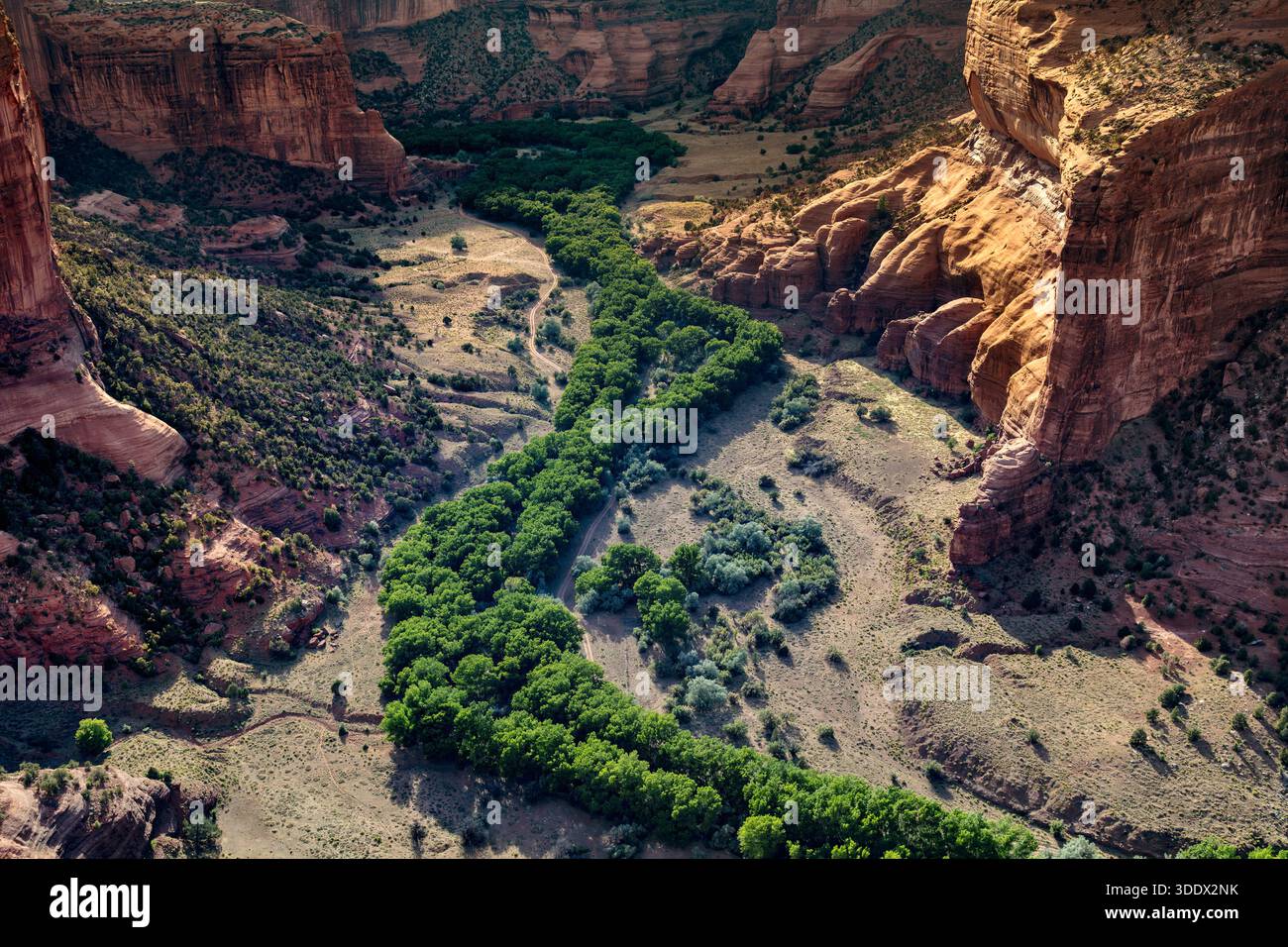 Riparian Chinle Wash, Canyon de Chelly National Monument, Arizona Stock Photo
