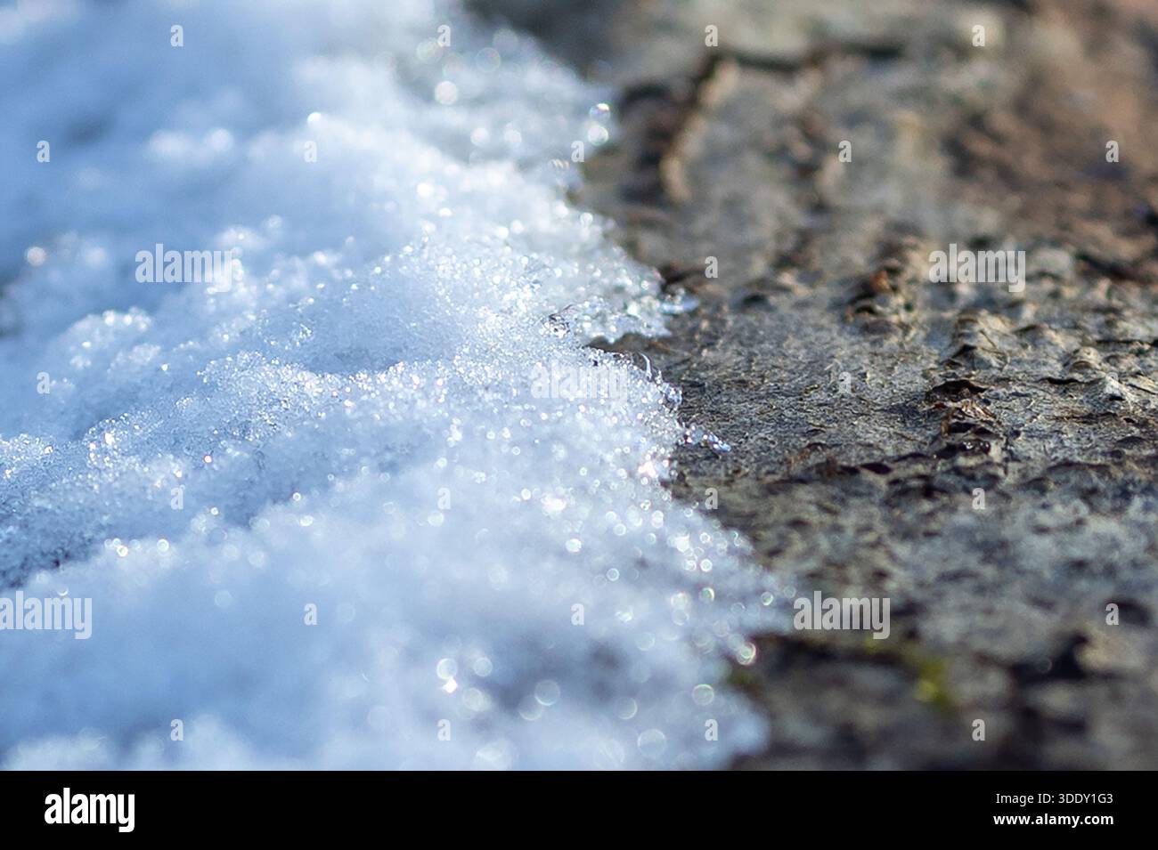 Fresh Snow on a Fallen Tree Stock Photo