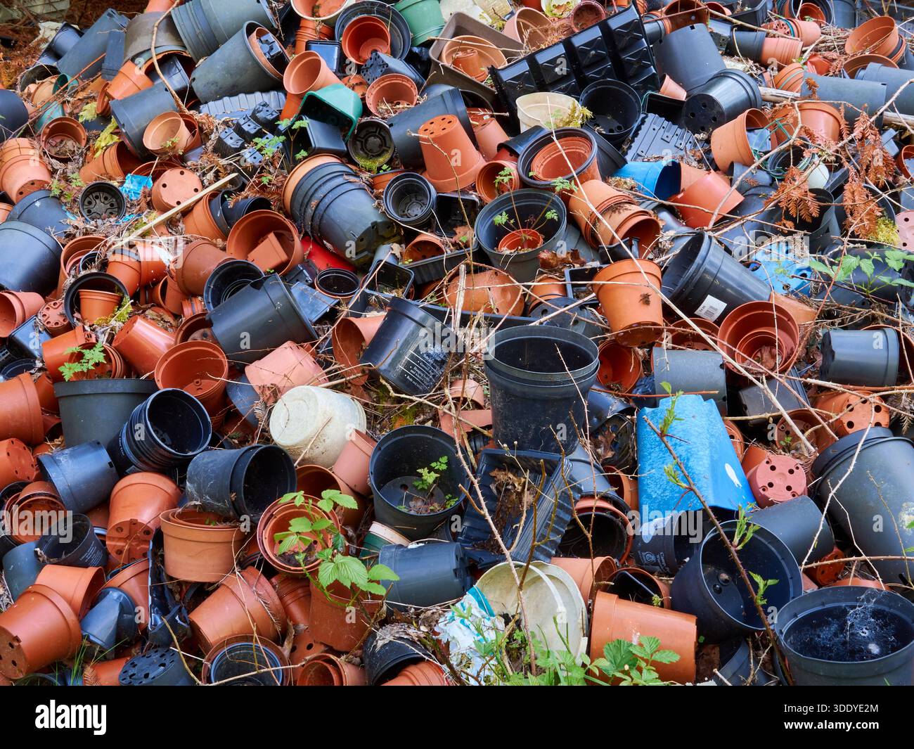 A big pile of plastic plant pots. Stock Photo