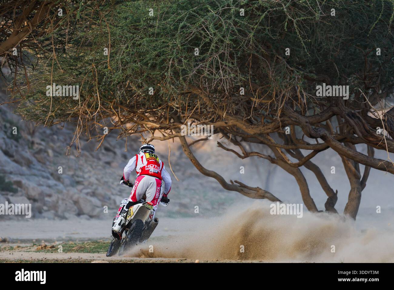 98 KLEIN Mason (usa), Hoto Factory Racing, Hoto, Rally GP, action ...
