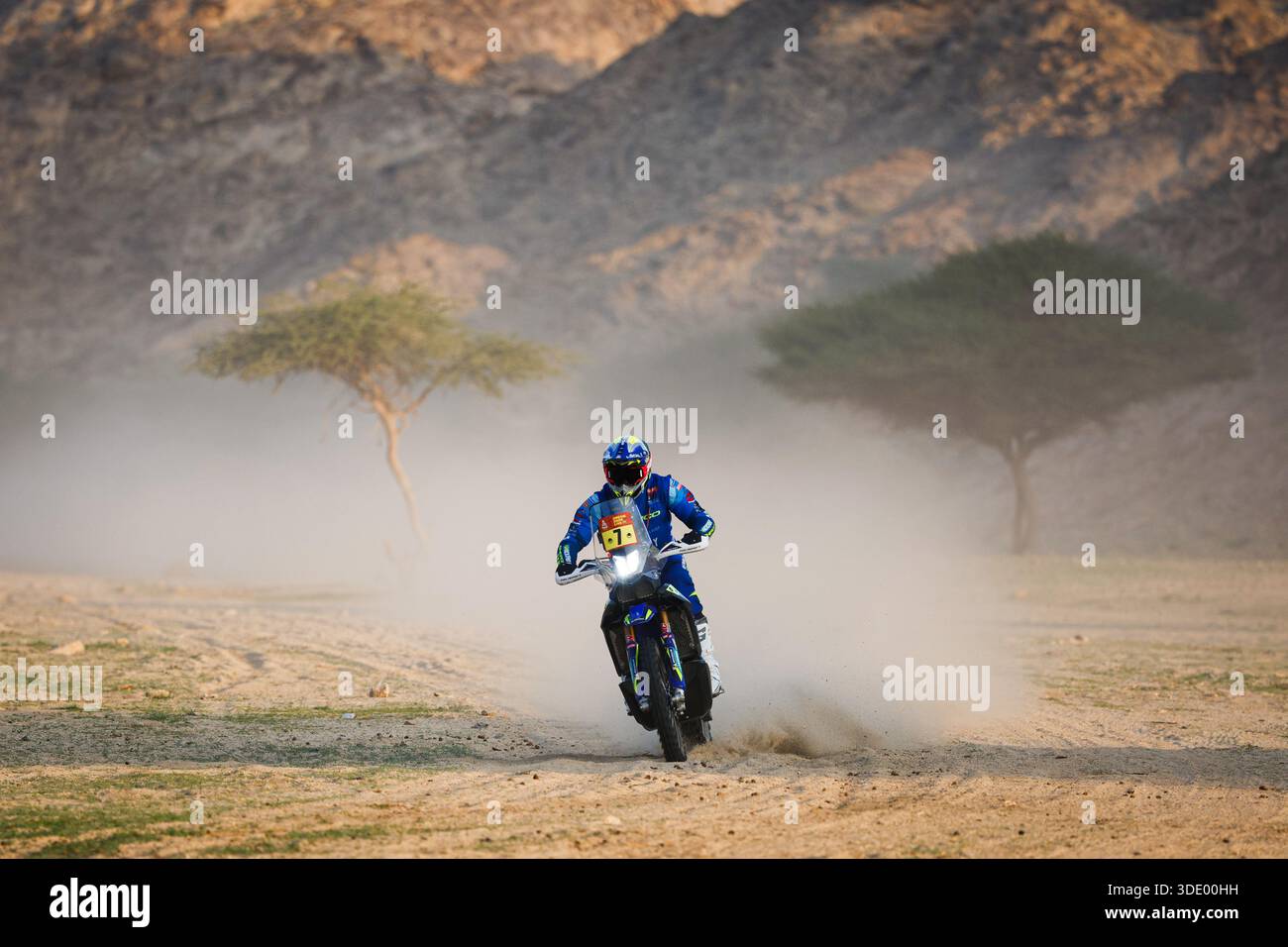 07 COX Bradley (rsa), Sherco Rally Factory, Sherco, Rally GP, action ...